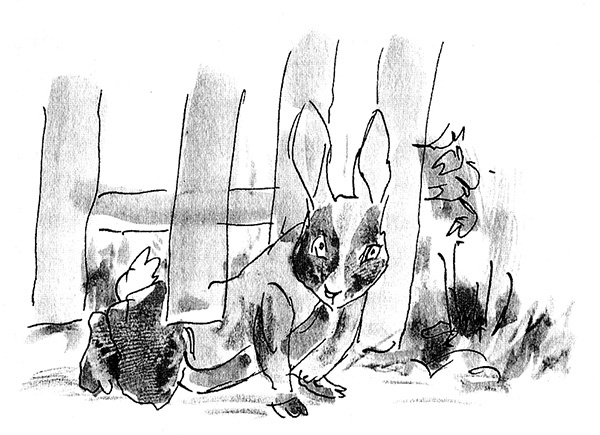 Иллюстрация к книге — Мисс Черити [i_094.jpg]