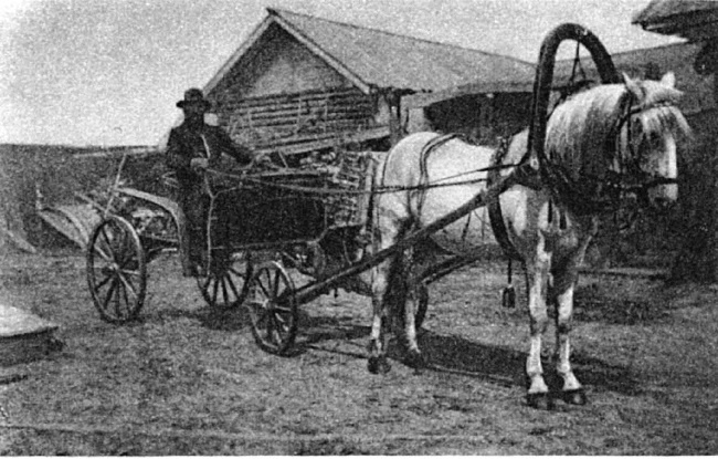 Иллюстрация к книге — 1917. Российская империя. Падение [i_003.jpg]