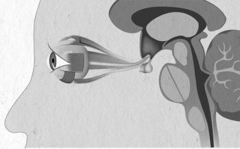 Иллюстрация к книге — Девочка. Девушка. Женщина [i_021.jpg]