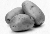 Иллюстрация к книге — Девочка. Девушка. Женщина [i_196.jpg]