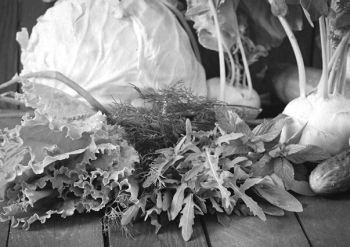 Иллюстрация к книге — Девочка. Девушка. Женщина [i_265.jpg]