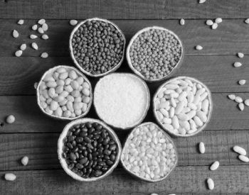 Иллюстрация к книге — Девочка. Девушка. Женщина [i_266.jpg]