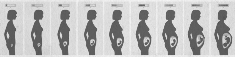 Иллюстрация к книге — Девочка. Девушка. Женщина [i_287.jpg]