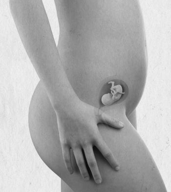 Иллюстрация к книге — Девочка. Девушка. Женщина [i_291.jpg]