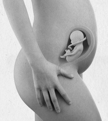 Иллюстрация к книге — Девочка. Девушка. Женщина [i_293.jpg]