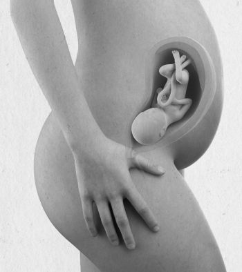 Иллюстрация к книге — Девочка. Девушка. Женщина [i_295.jpg]