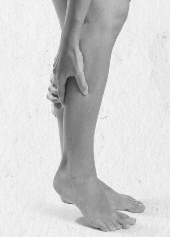 Иллюстрация к книге — Девочка. Девушка. Женщина [i_304.jpg]