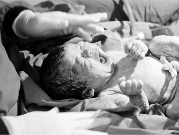 Иллюстрация к книге — Девочка. Девушка. Женщина [i_343.jpg]