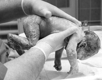 Иллюстрация к книге — Девочка. Девушка. Женщина [i_354.jpg]