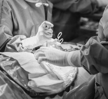 Иллюстрация к книге — Девочка. Девушка. Женщина [i_357.jpg]