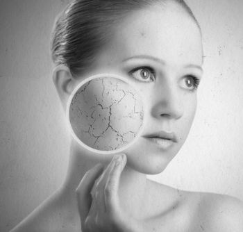 Иллюстрация к книге — Девочка. Девушка. Женщина [i_462.jpg]