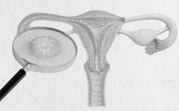 Иллюстрация к книге — Девочка. Девушка. Женщина [i_501.jpg]
