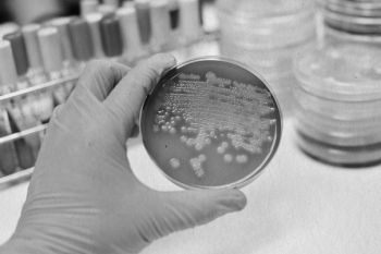 Иллюстрация к книге — Девочка. Девушка. Женщина [i_574.jpg]