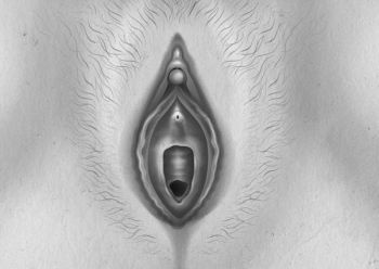 Иллюстрация к книге — Девочка. Девушка. Женщина [i_590.jpg]