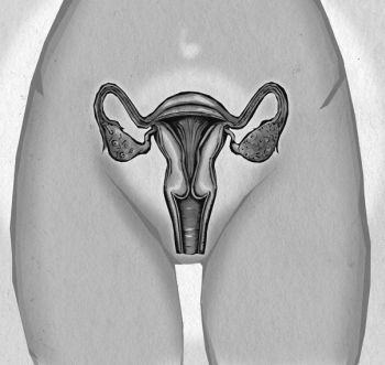 Иллюстрация к книге — Девочка. Девушка. Женщина [i_591.jpg]