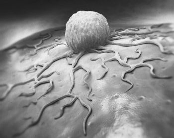 Иллюстрация к книге — Девочка. Девушка. Женщина [i_595.jpg]