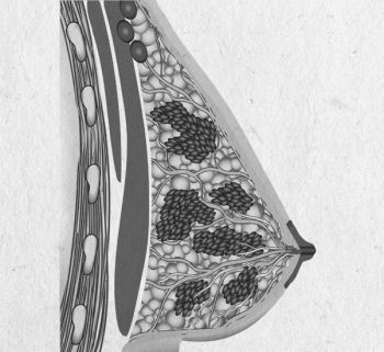 Иллюстрация к книге — Девочка. Девушка. Женщина [i_602.jpg]