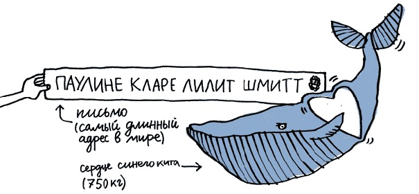 Иллюстрация к книге — Удивительные приключения запредельно невероятной, исключительно неповторимой, потрясающей, ни на кого не похожей Маулины Шмитт. Часть 1. Мое разрушенное королевство [_020.jpg]