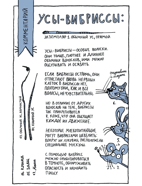 Иллюстрация к книге — Удивительные приключения запредельно невероятной, исключительно неповторимой, потрясающей, ни на кого не похожей Маулины Шмитт. Часть 1. Мое разрушенное королевство [_032.jpg]