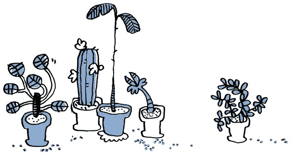 Иллюстрация к книге — Удивительные приключения запредельно невероятной, исключительно неповторимой, потрясающей, ни на кого не похожей Маулины Шмитт. Часть 1. Мое разрушенное королевство [_039.jpg]