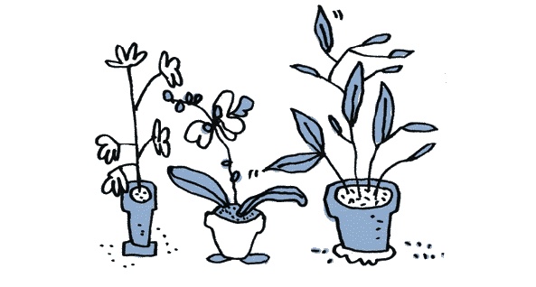 Иллюстрация к книге — Удивительные приключения запредельно невероятной, исключительно неповторимой, потрясающей, ни на кого не похожей Маулины Шмитт. Часть 1. Мое разрушенное королевство [_095.jpg]