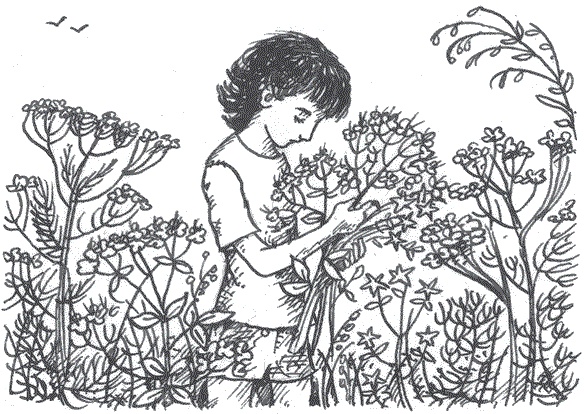 Иллюстрация к книге — Легкие горы [i_003.jpg]