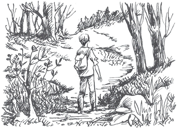 Иллюстрация к книге — Легкие горы [i_006.jpg]