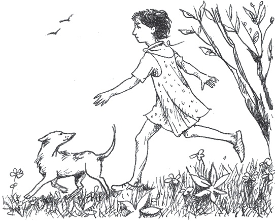 Иллюстрация к книге — Легкие горы [i_008.jpg]