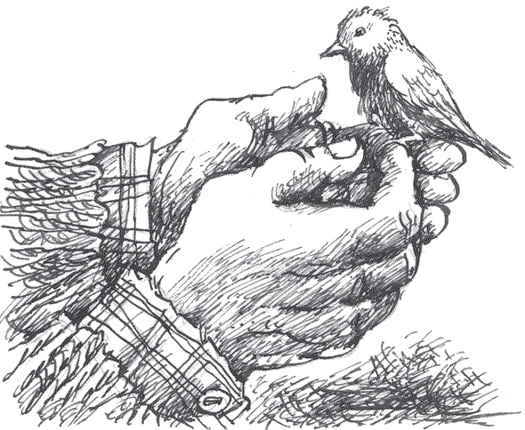 Иллюстрация к книге — Легкие горы [i_010.jpg]