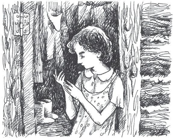 Иллюстрация к книге — Легкие горы [i_013.jpg]