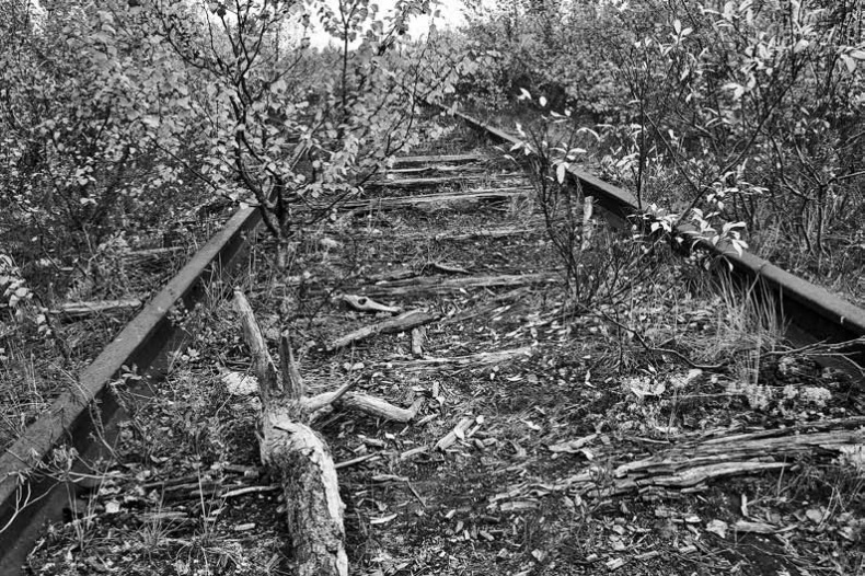 Иллюстрация к книге — Изнанка белого. Арктика от викингов до папанинцев [_137.jpg]