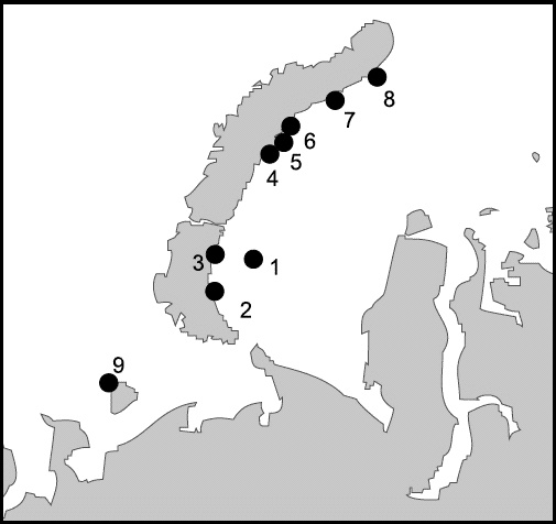 Иллюстрация к книге — Изнанка белого. Арктика от викингов до папанинцев [_177_2.jpg]