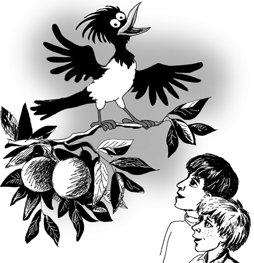 Иллюстрация к книге — У собачьего древа [i_013.jpg]