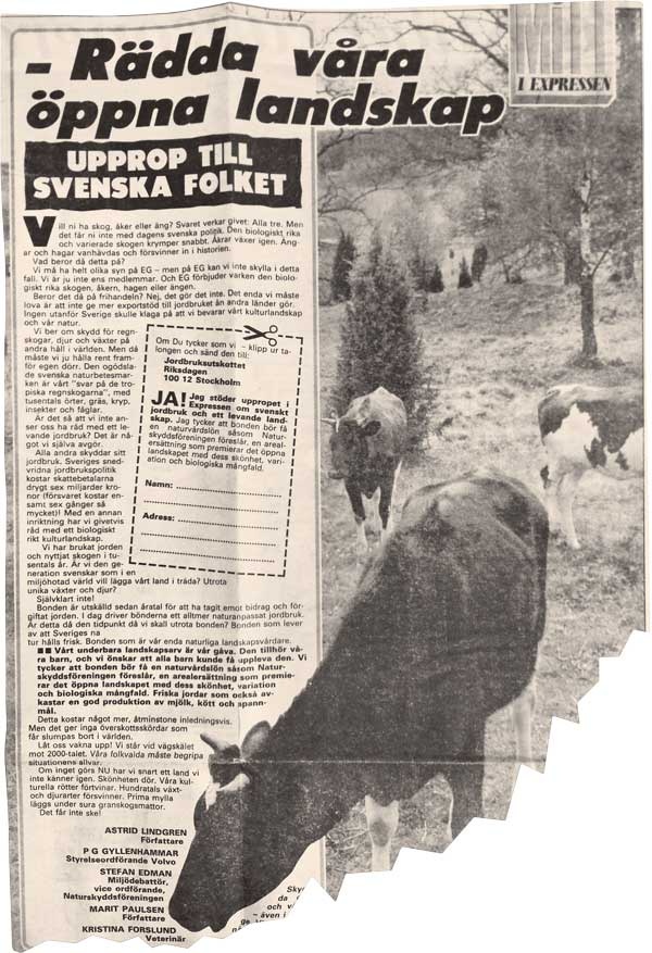 Иллюстрация к книге — Астрид Линдгрен. Этот день и есть жизнь [i_112.jpg]