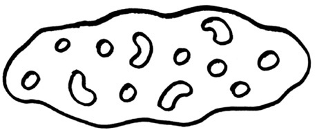 Иллюстрация к книге — КИМКА &amp; компания [i_033.jpg]