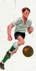 Иллюстрация к книге — Последний окножираф [img15d3.jpg]