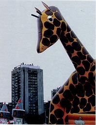 Иллюстрация к книге — Последний окножираф [img1ea0.jpg]