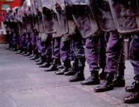 Иллюстрация к книге — Последний окножираф [img22f3.jpg]