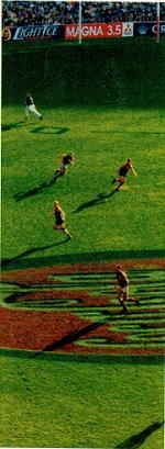 Иллюстрация к книге — Последний окножираф [img2839.jpg]