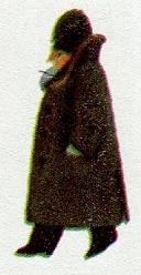 Иллюстрация к книге — Последний окножираф [img34ee.jpg]