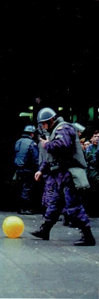 Иллюстрация к книге — Последний окножираф [img37cb.jpg]