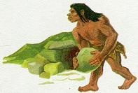 Иллюстрация к книге — Последний окножираф [img4d8c.jpg]