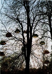 Иллюстрация к книге — Последний окножираф [img5a9e.jpg]