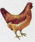 Иллюстрация к книге — Последний окножираф [img6c5.jpg]