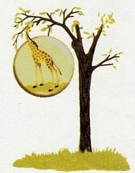 Иллюстрация к книге — Последний окножираф [img7b4f.jpg]