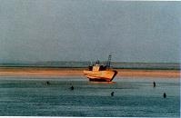 Иллюстрация к книге — Последний окножираф [img858d.jpg]