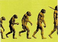 Иллюстрация к книге — Последний окножираф [img90db.jpg]