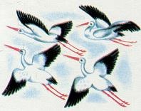 Иллюстрация к книге — Последний окножираф [imga897.jpg]