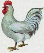 Иллюстрация к книге — Последний окножираф [imgaac1.jpg]