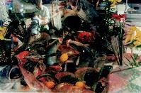 Иллюстрация к книге — Последний окножираф [imgaad8.jpg]